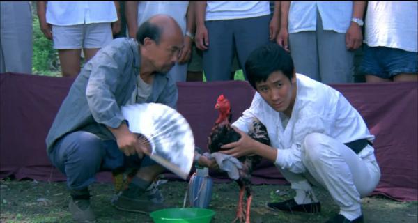 斗鸡.mp4_1638863023520.png