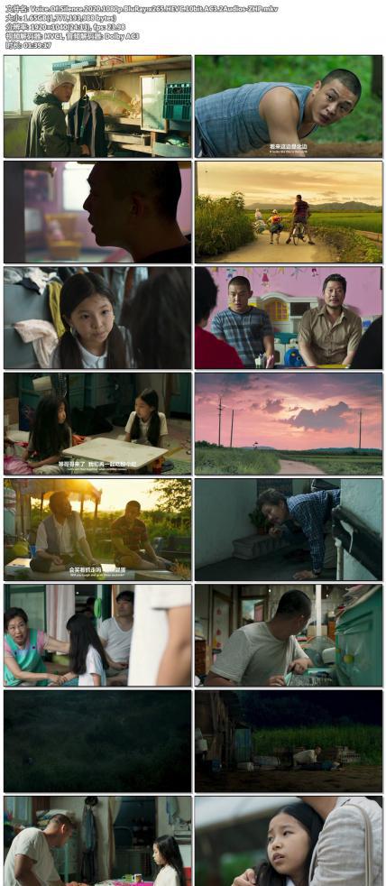 Voice.Of.Silence.2020.1080p.BluRay.x265.HEVC.10bit.AC3.2Audios-ZHP.jpg