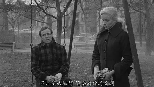 p2631819575.webp.jpg