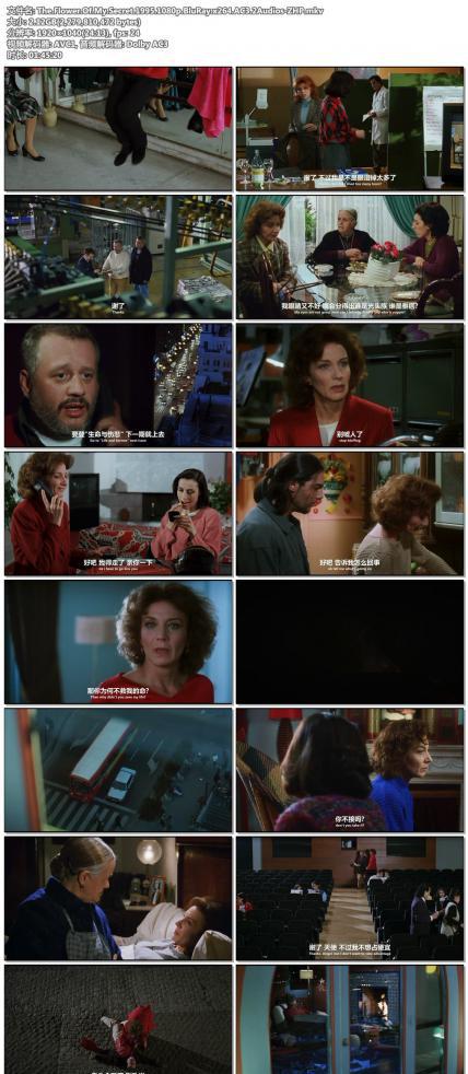 The.Flower.Of.My.Secret.1995.1080p.BluRay.x264.AC3.2Audios-ZHP.jpg