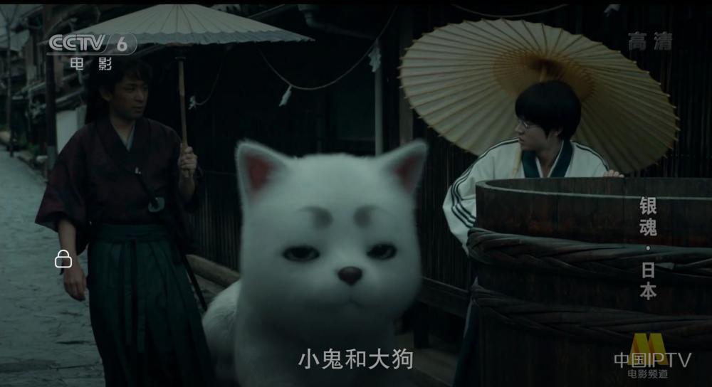 -6f916bdd7b12e59a.jpg