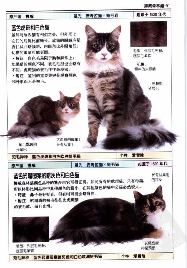 QQ截图20220211221215.jpg