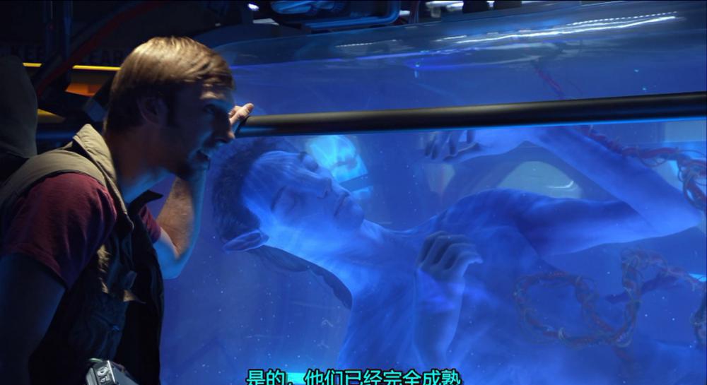 阿凡达.Avatar2009Blu-ray1080p.HEVC.DTS-HDMA5.1-Pete@HDSky.mkv_20220214_113024.202.jpg