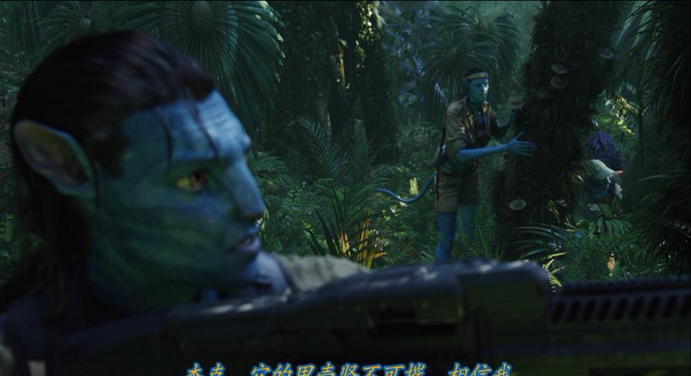阿凡达.Avatar2009Blu-ray1080p.HEVC.DTS-HDMA5.1-Pete@HDSky.mkv_20220214_113036.291.jpg