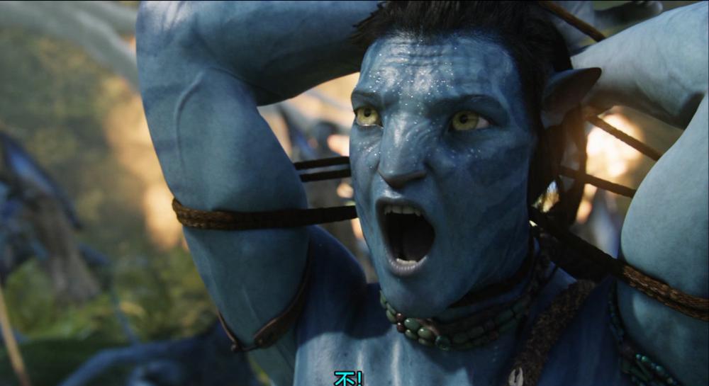 阿凡达.Avatar2009Blu-ray1080p.HEVC.DTS-HDMA5.1-Pete@HDSky.mkv_20220214_113059.735.jpg