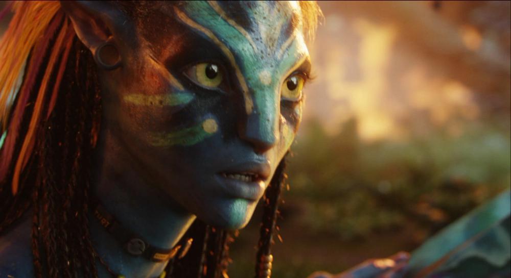 阿凡达.Avatar2009Blu-ray1080p.HEVC.DTS-HDMA5.1-Pete@HDSky.mkv_20220214_113108.530.jpg