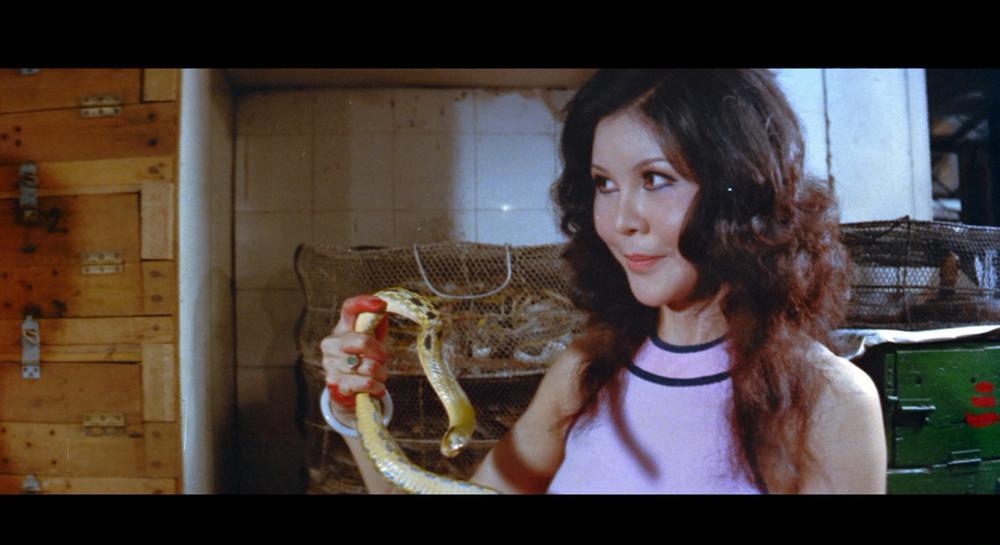 龙争虎斗精武魂.BlackDragon's.Revenge.1975.Blu-ray.1080P.AVC.DTS-HD.MA.2.0.mkv_202.jpg