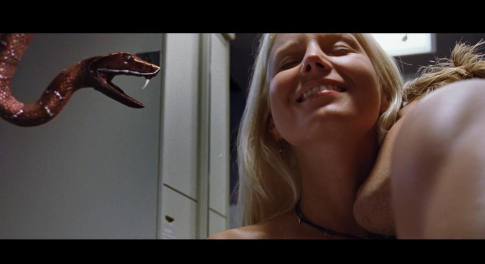 航班蛇患.空中蛇Snakes.on.a.Plane.2006.1080p.BluRay.x264.DD5.1-FGT.mkv_20220220_143630..jpg
