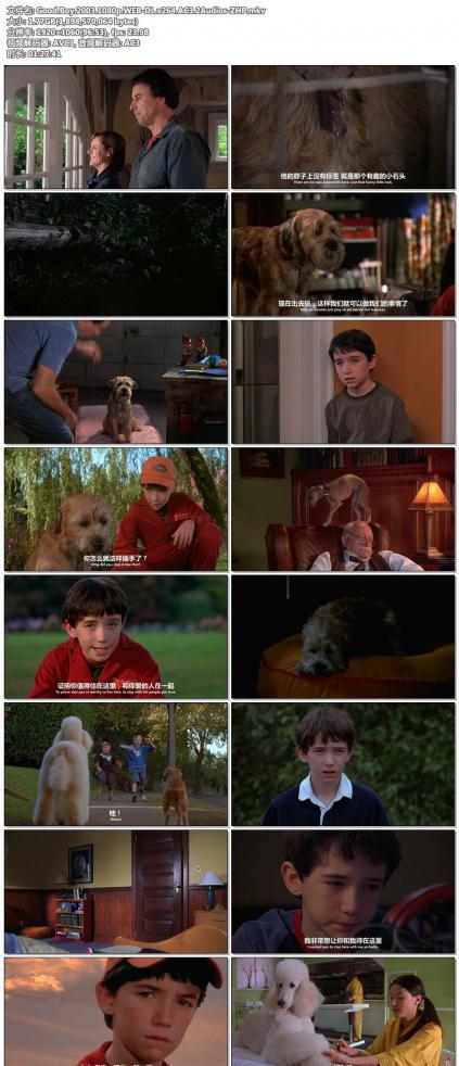 Good.Boy.2003.1080p.WEB-DL.x264.AC3.2Audios-ZHP.jpg