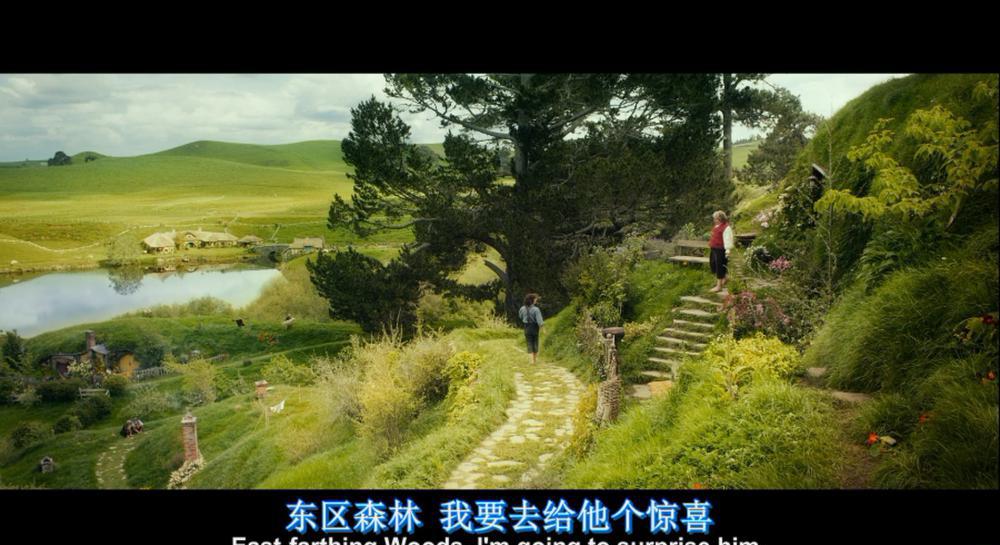 霍比特人1：意外之旅.The.Hobbit.An.Unexpected.Journey.2012.Extended.Edition.BluRay.1080.jpg