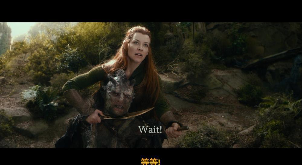 霍比特人2：史矛革之战..The.Hobbit.The.Desolation.of.Smaug.2013.Extended.BluRay.1080p.A.jpg