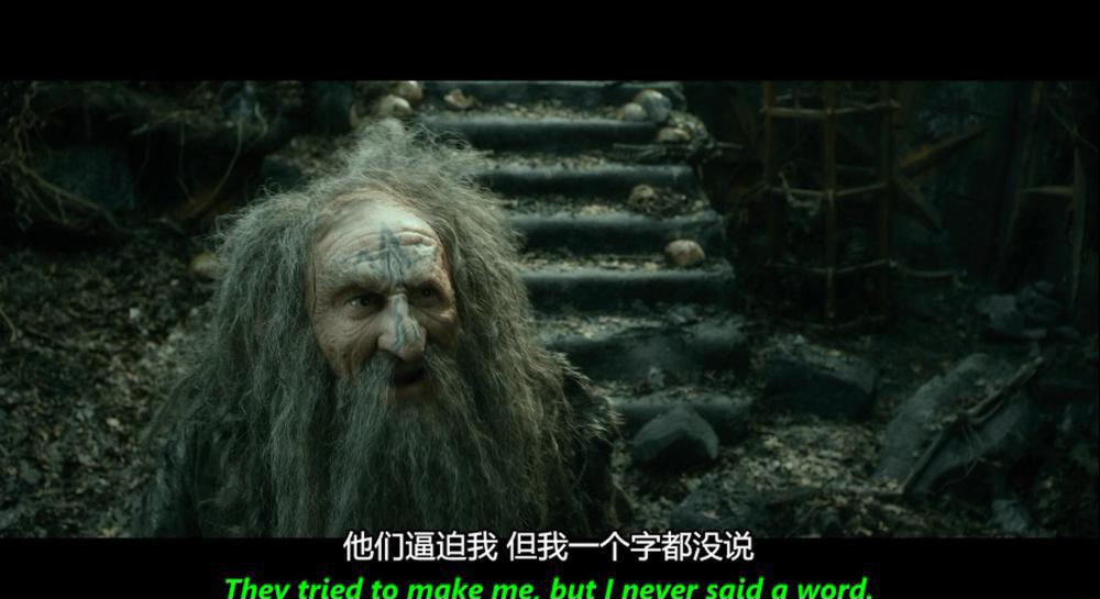 霍比特人2：史矛革之战..The.Hobbit.The.Desolation.of.Smaug.2013.Extended.BluRay.1080p.A.jpg