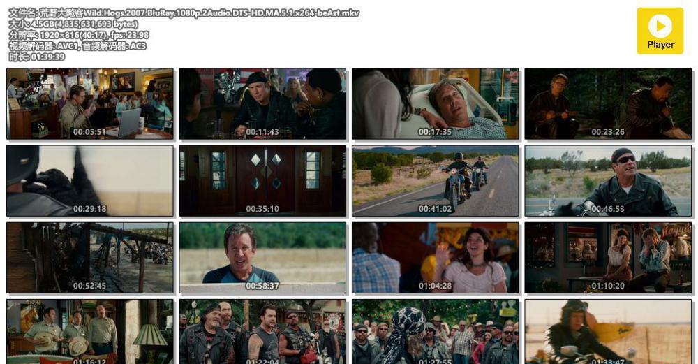 荒野大飚客Wild.Hogs.2007.BluRay.1080p.2Audio.DTS-HD.MA.5.1.x264-beAst.mkv.jpg