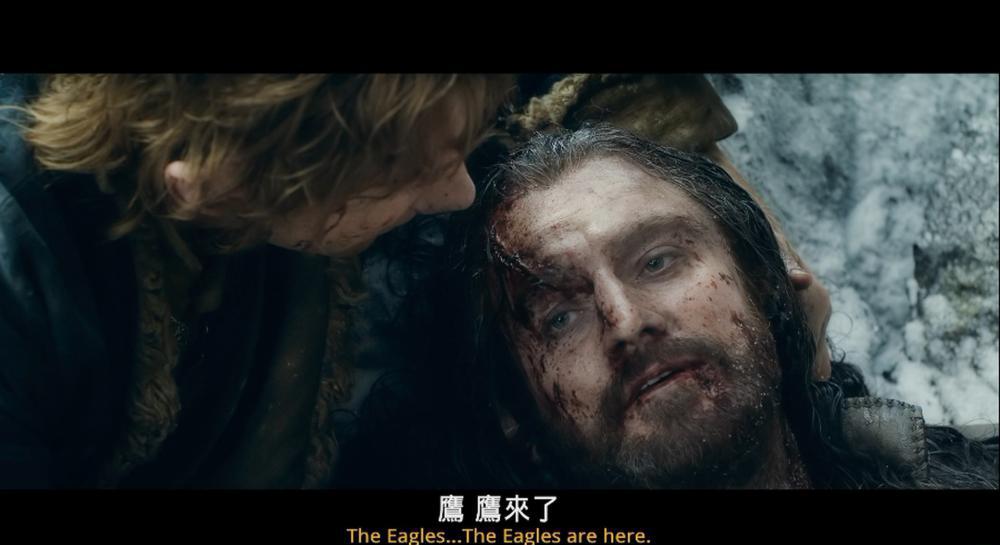 霍比特人3：五军之战.The.Hobbit.The.Battle.of.the.Five.Armies.2014.EXTENDED.REMASTERED..jpg