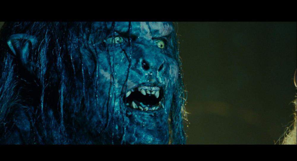 指环王1：魔戒再现.The.Fellowship.of.the.Ring.2001.Disc.EXTENDED.BluRay.1080p.AVC.DTS-H.jpg
