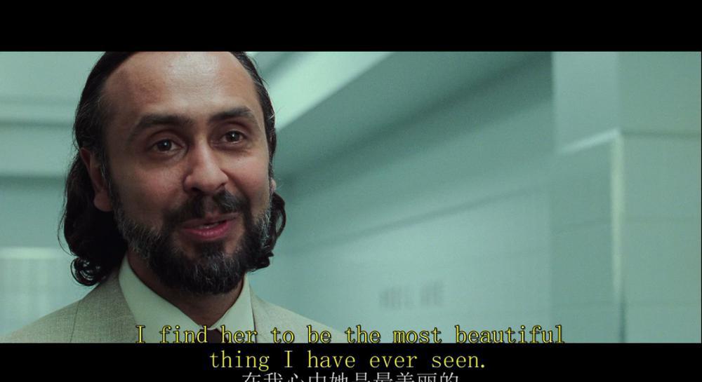 黑客帝国3：矩阵革命.The.Matrix.Revolutions.2003.2160p.BluRay.x265.10bit.SDR.DTS-HD.MA..jpg