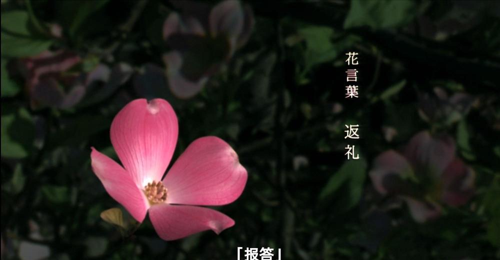 IMG_20220323_174548.jpg
