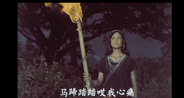 孔雀飞来阿佤山.mp4_1648527082504.png