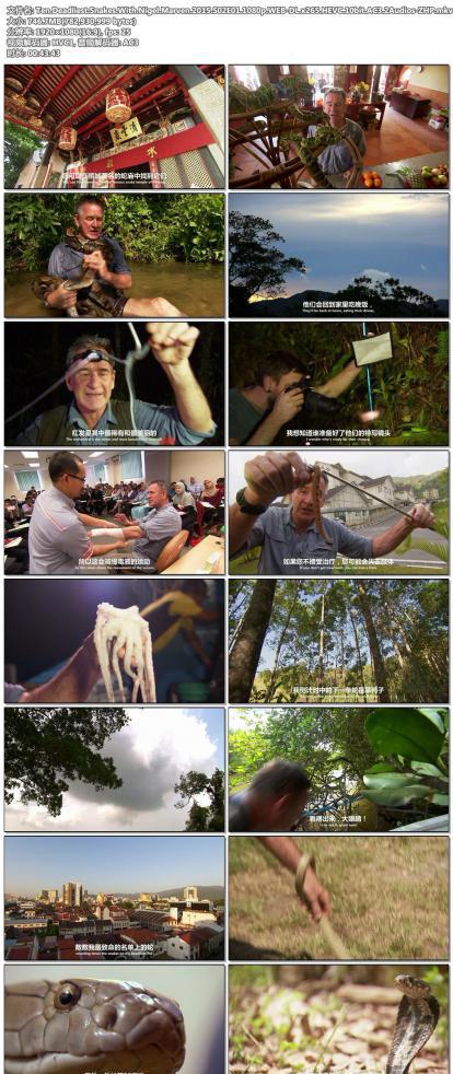 Ten.Deadliest.Snakes.With.Nigel.Marven.2015.S02E01.1080p.WEB-DL.x265.HEVC.10bit.AC3.2A.jpg