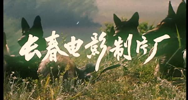 狼犬历险记.mp4_1649897899687.png