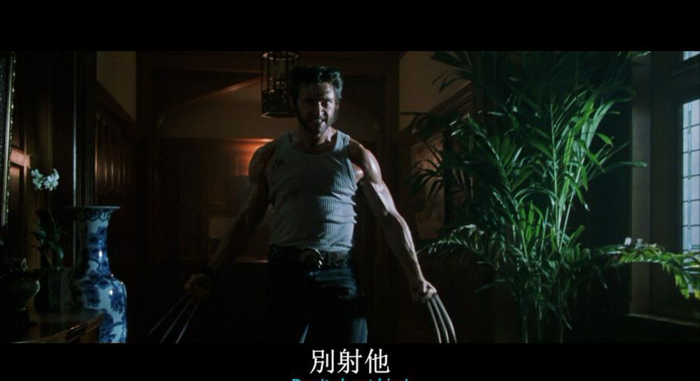 X战警2：X战警.X2.2003.1080p.CEE.BluRay.AVC.DTS-HR.5.1-FGT.mkv_20220414_234655.202.jpg