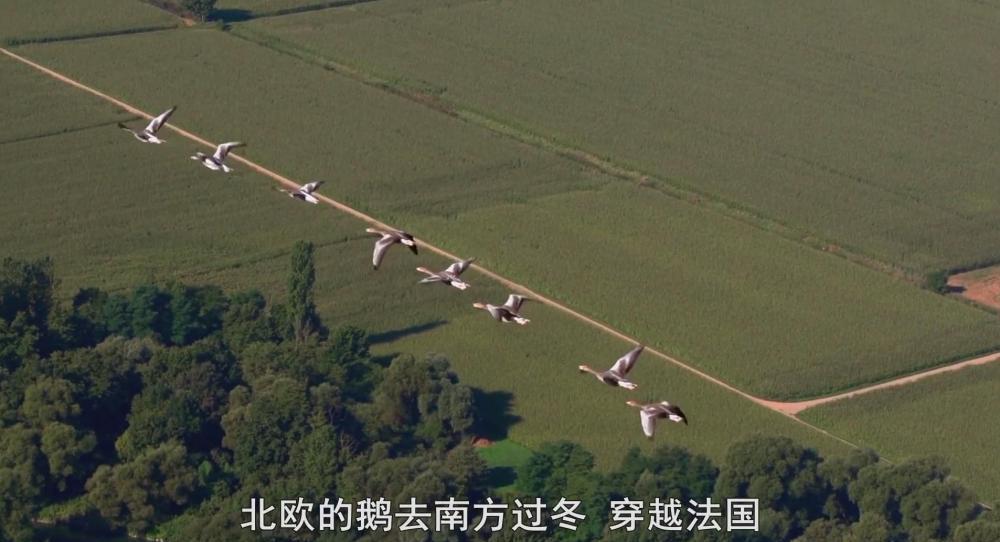 暴风截图2022513118761921.jpg