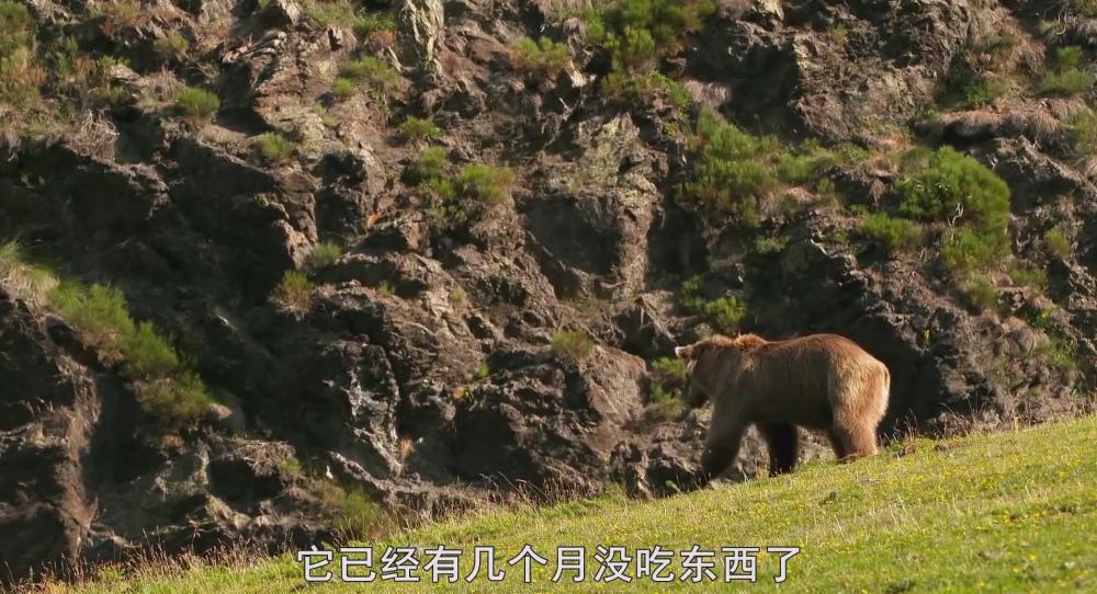 暴风截图2022513118732296.jpg