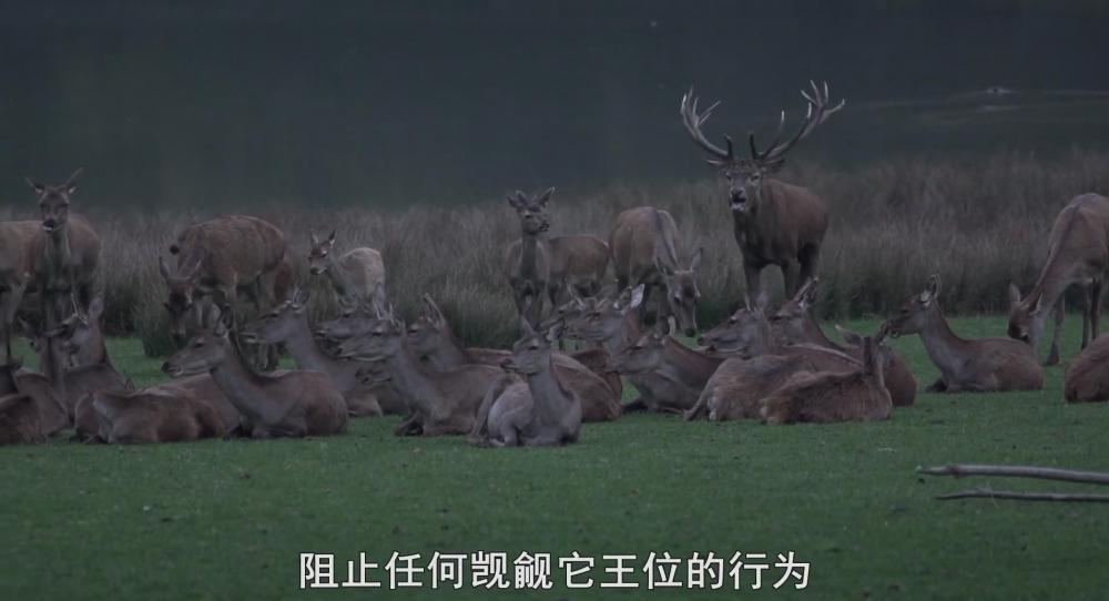 暴风截图2022513118778500.jpg