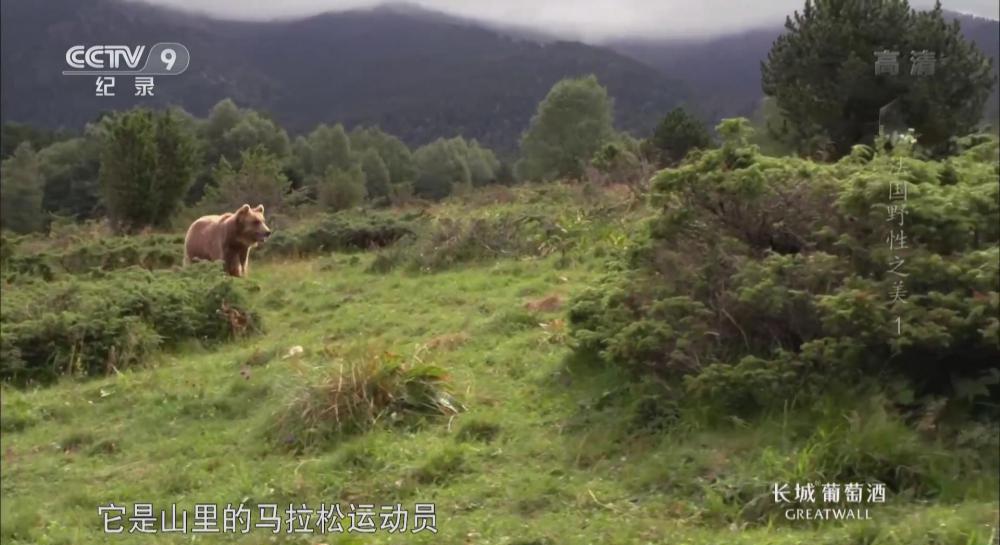 暴风截图2022513119208312.jpg