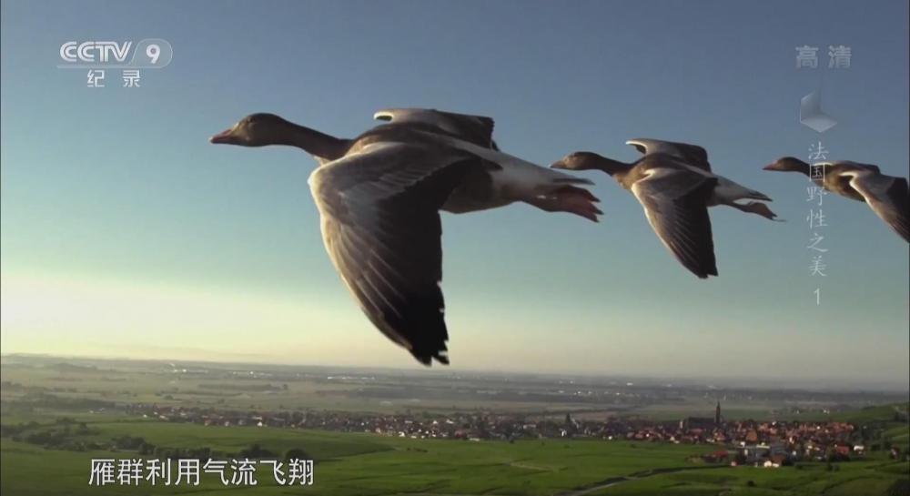 暴风截图2022513119227515.jpg
