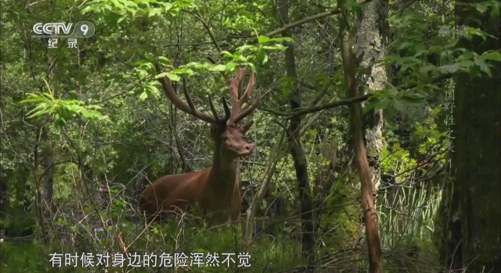 暴风截图2022513119254828.jpg