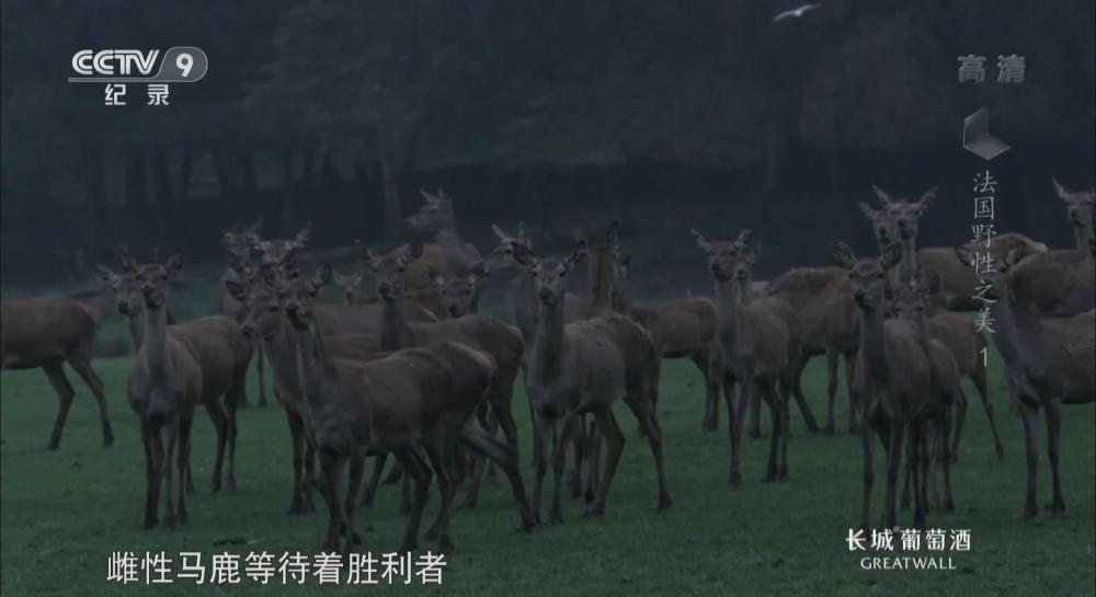 暴风截图2022513119273312.jpg