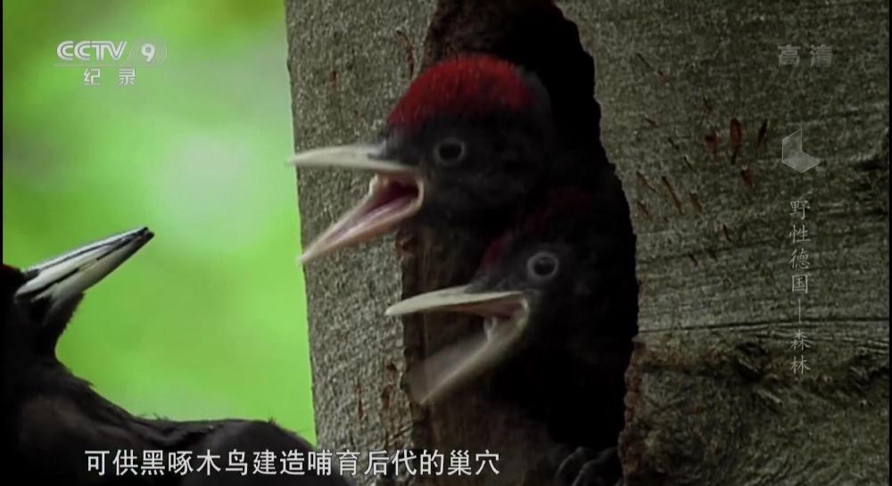 暴风截图2022516356554093.jpg