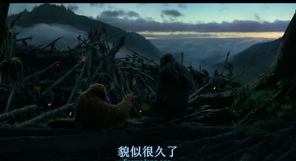 猩球崛起2 .黎明之战.Dawn.of.the.Planet.of.the.Apes.2014.BluRay.1080p.AVC.DTS-HD.MA.5.1.jpg