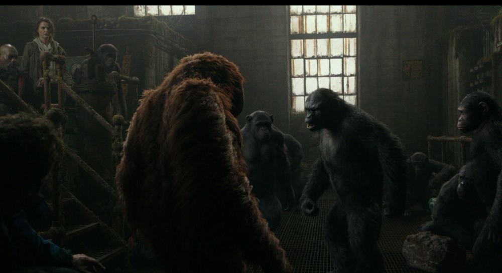 猩球崛起2 .黎明之战.Dawn.of.the.Planet.of.the.Apes.2014.BluRay.1080p.AVC.DTS-HD.MA.5.1.jpg