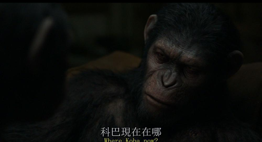 猩球崛起2 .黎明之战.Dawn.of.the.Planet.of.the.Apes.2014.BluRay.1080p.AVC.DTS-HD.MA.5.1.jpg
