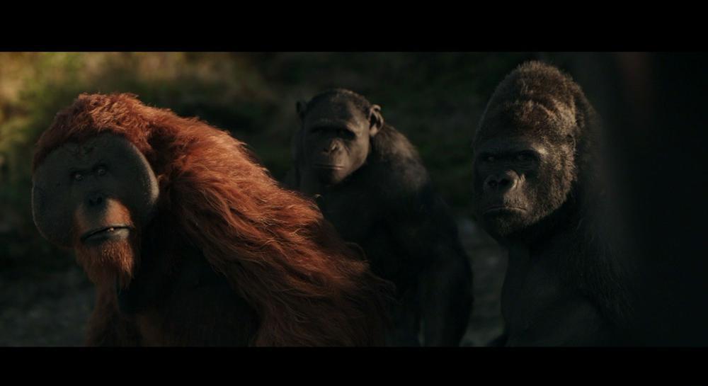 猩球崛起3 .终极战 .War.for.the.Planet.of.the.Apes.2017.BluRay.1080p.AVC.DTS-HD.MA.7.1-.jpg