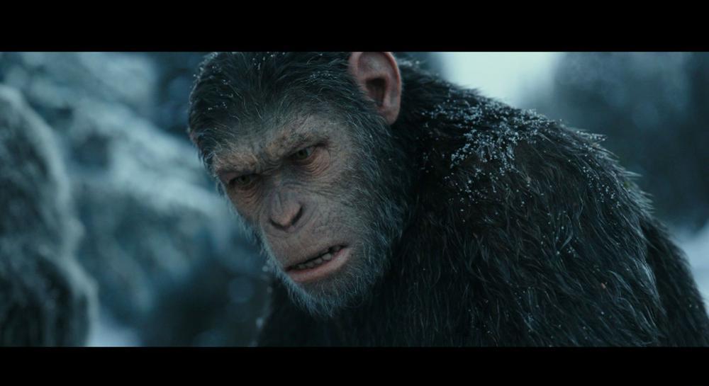 猩球崛起3 .终极战 .War.for.the.Planet.of.the.Apes.2017.BluRay.1080p.AVC.DTS-HD.MA.7.1-.jpg