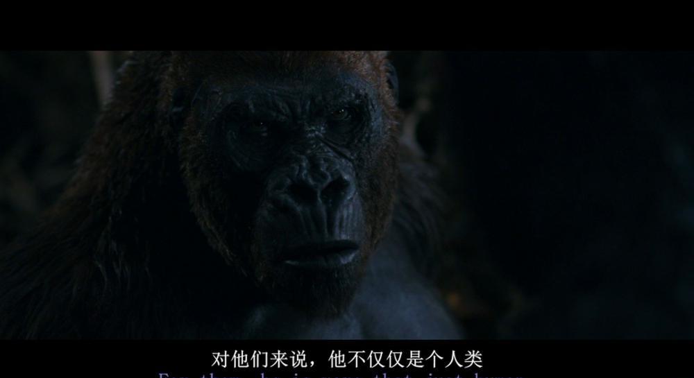 猩球崛起3 .终极战 .War.for.the.Planet.of.the.Apes.2017.BluRay.1080p.AVC.DTS-HD.MA.7.1-.jpg