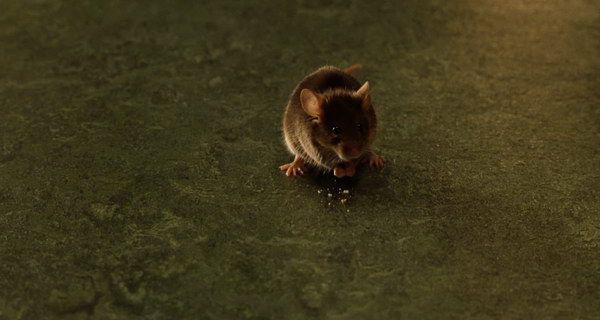 The Green Mile.mkv.115chrome_16_0_20220627_092619.988.jpg