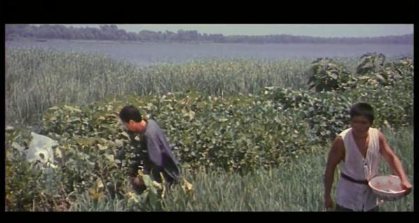 流浪汉与天鹅.mp4_1656401449500.png