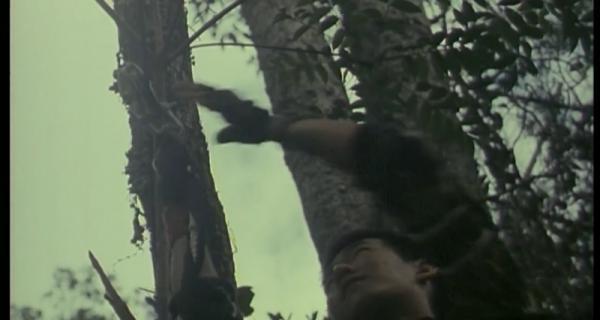 龙虎群英.mp4_1656735835320.png