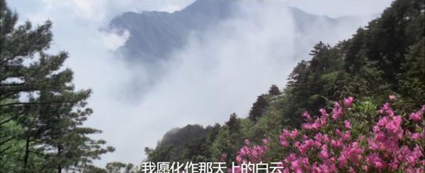 庐山恋.mkv_1656933315082.png