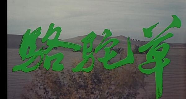 骆驼草.mp4_1656982486174.png