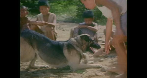赛虎.mp4_1658798321122.png