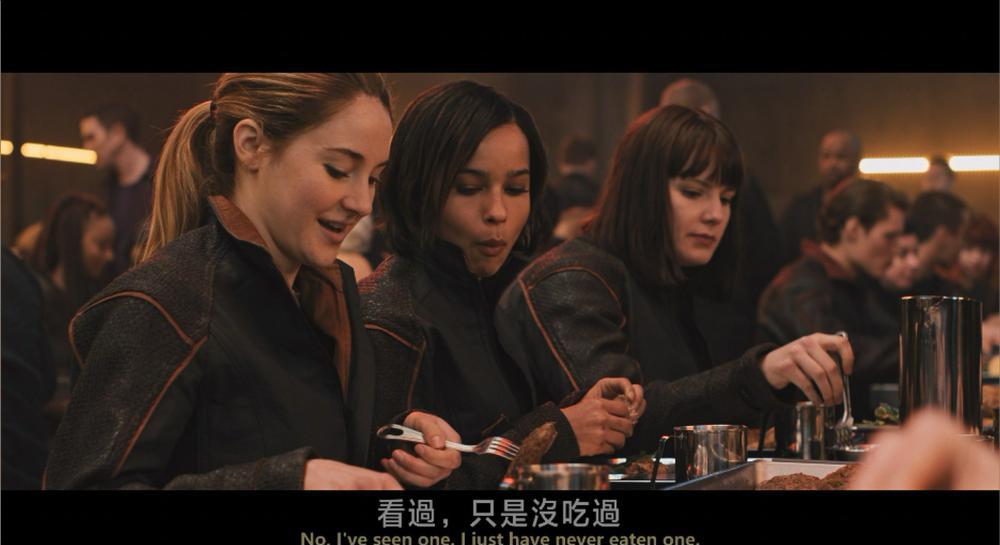 分歧者：异类觉醒.Divergent.2014.2160p.BluRay.x265.10bit.SDR.DTS-X.7.1-SWTYBLZ.mkv_2022.jpg