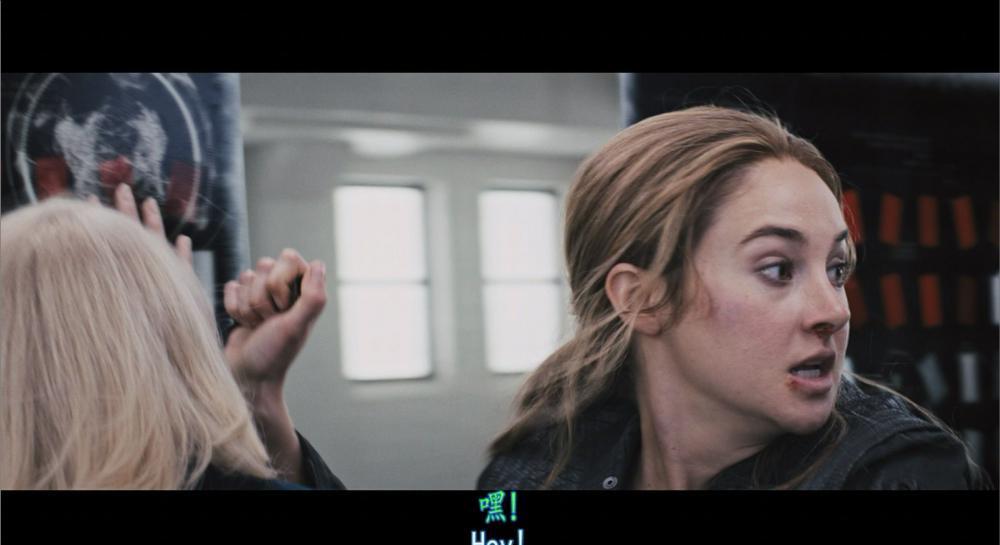 分歧者：异类觉醒.Divergent.2014.2160p.BluRay.x265.10bit.SDR.DTS-X.7.1-SWTYBLZ.mkv_2022.jpg