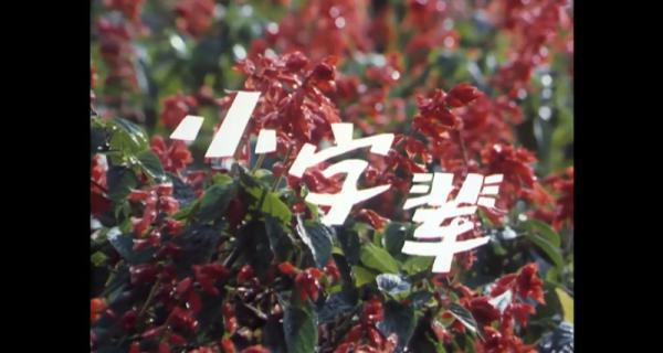小字辈.mp4_1659949328360.png