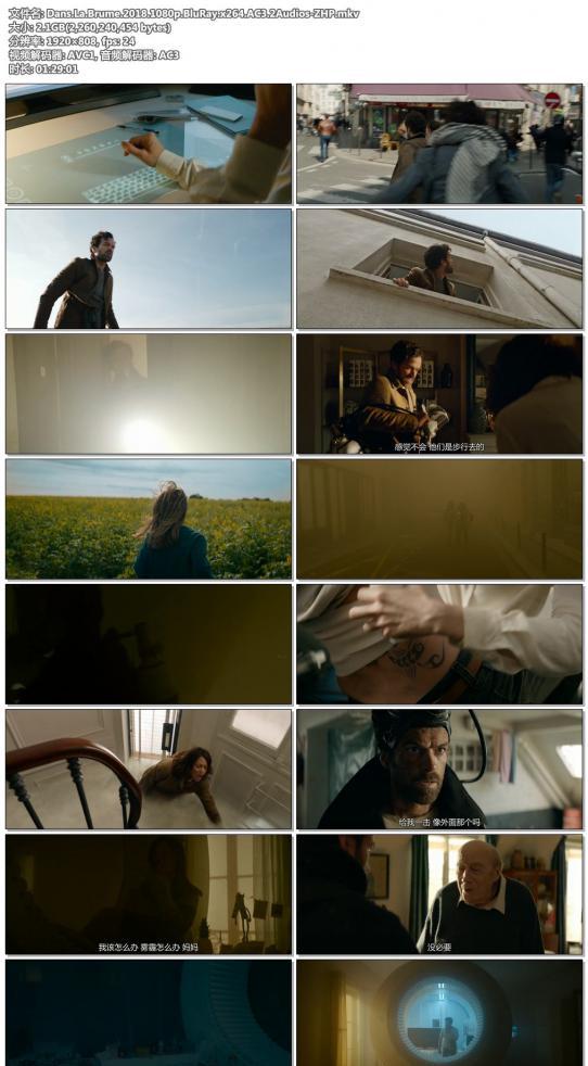 Dans.La.Brume.2018.1080p.BluRay.x264.AC3.2Audios-ZHP.jpg