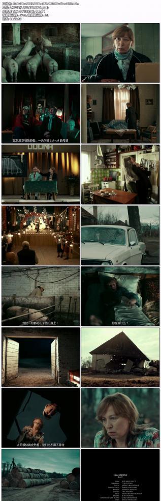Stebuklas.2017.DVD.x264.AC3.2Audios-ZHP.jpg